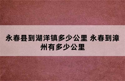 永春县到湖洋镇多少公里 永春到漳州有多少公里